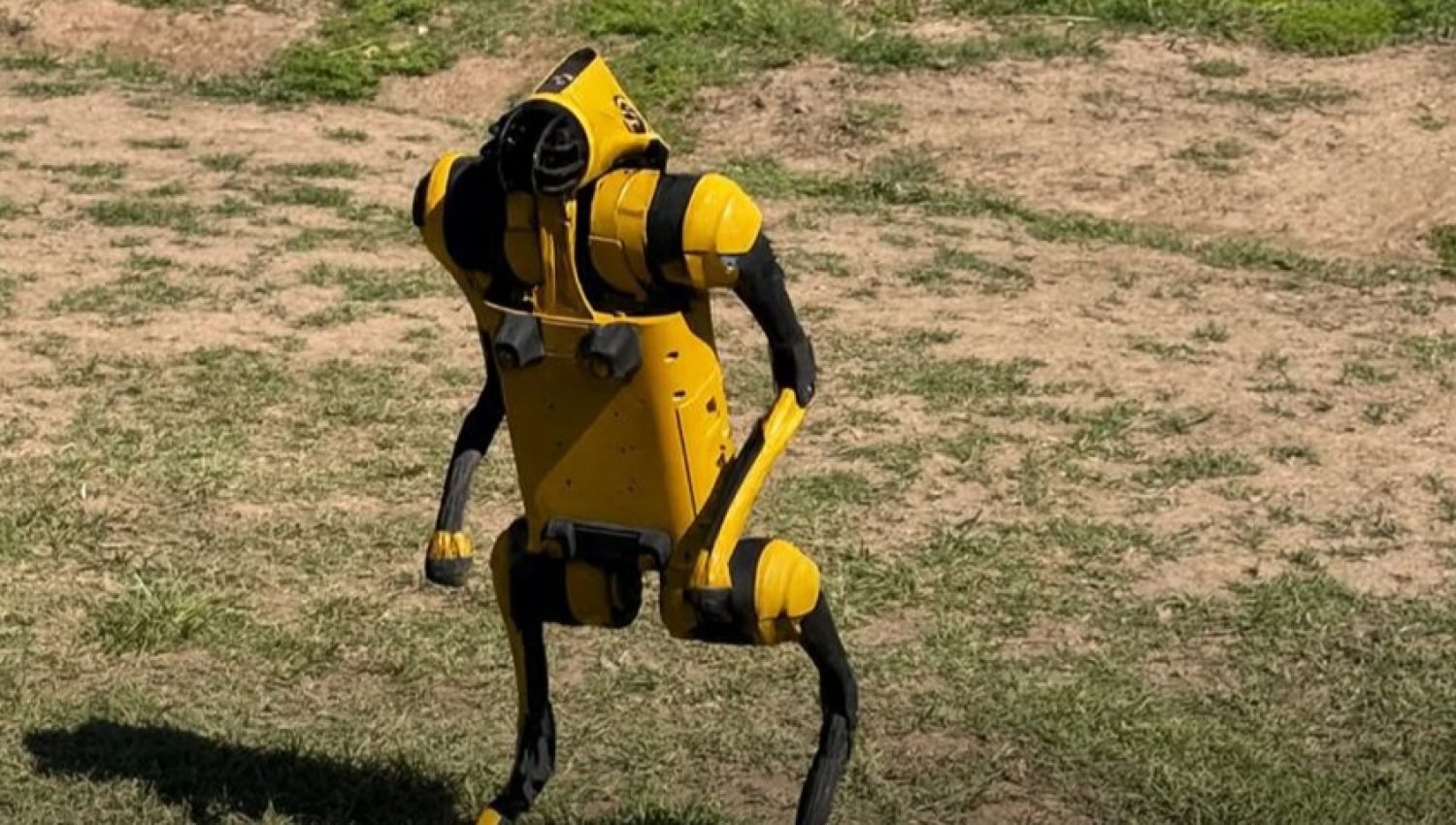 CdE_OpS_PerroRobot02_logo